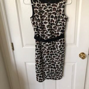 Leopard print Ann Taylor dress size 0